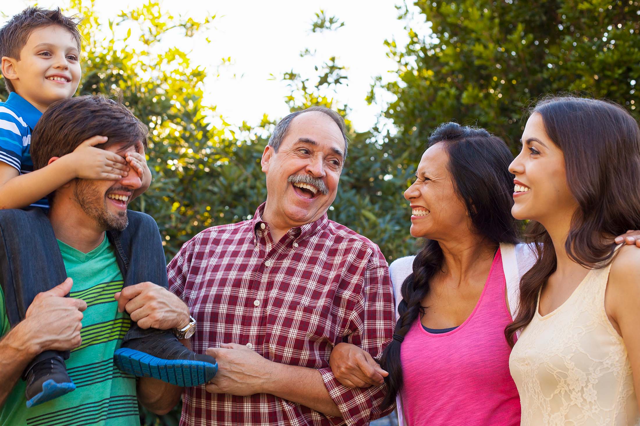 Owl sitting in tree, reach out to us with your family dental needs.